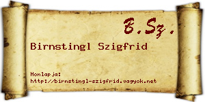 Birnstingl Szigfrid névjegykártya